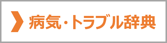 病気・トラブル辞典